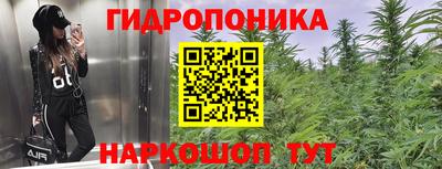 PSILOCYBIN Волжск