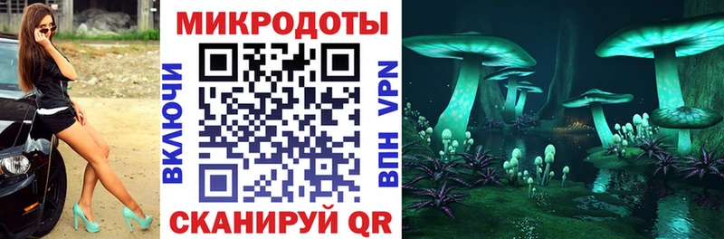 shop Telegram  Краснокаменск  Псилоцибиновые грибы мицелий 