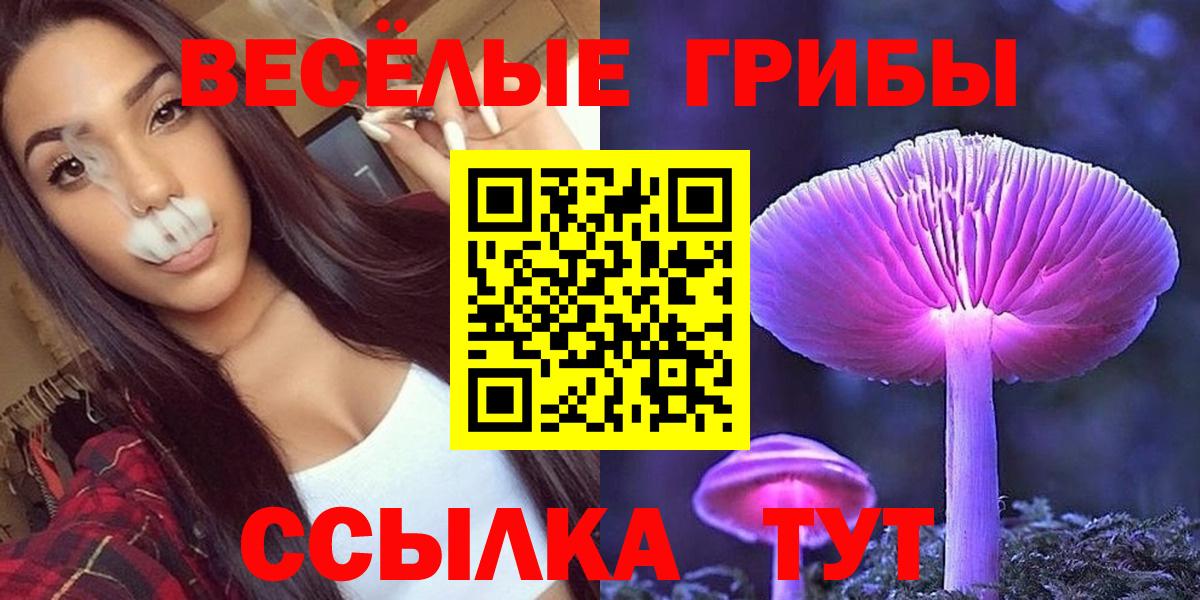 Псилоцибиновые грибы Cubensis Краснокаменск