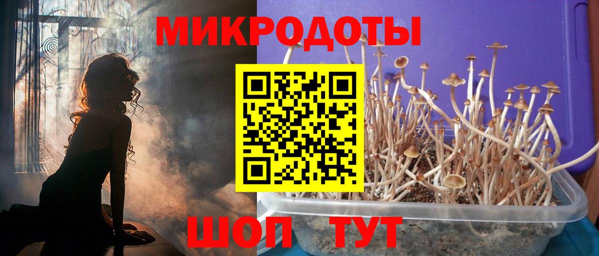 Псилоцибиновые грибы прущие грибы  Вход с VPN  Краснокаменск 